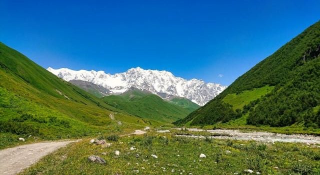 将来も安心して楽しむためのゴルフ会員権選びと活用ガイド