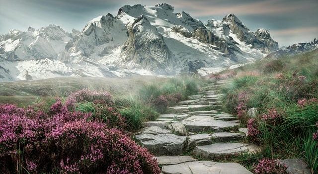 ゴルフ会員権が彩る大人の余暇とその裏に潜むリスクと選択の知恵 ゴルフ会員権が彩る大人の余暇とその裏に潜むリスクと選択の知恵